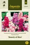 KESÄLEUKOIJA BEAUTY OF NICE - Muut kesäkukkien siemenet - 7332756289402 - 1