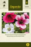 KESÄMALVIKKI - Muut kesäkukkien siemenet - 7332756284902 - 1