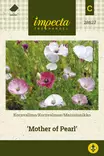 SILKKIUNIKKO MOTHER OF PEARL - Muut kesäkukkien siemenet - 7332756286272 - 1