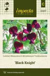 TUOKSUHERNE BLACK KNIGHT - Muut kesäkukkien siemenet - 7332756284872 - 1