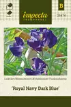 TUOKSUHERNE ROYAL NAVY DARK BLUE - Muut kesäkukkien siemenet - 7332756284742 - 1