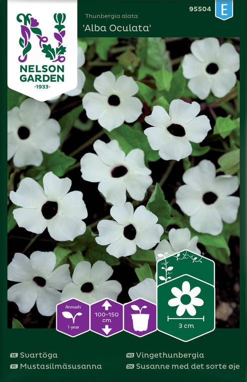 MUSTASILMÄSUSANNA ALBA OCULATA - Muut kesäkukkien siemenet - 7312600955042 - 2