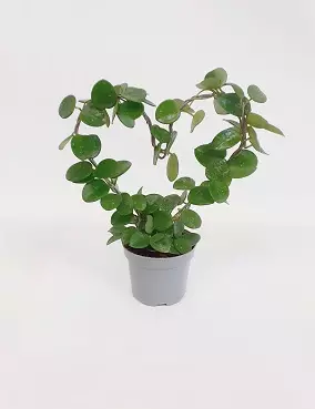 POSLIINIKUKKA MATHILDE - Muorinkukat - 2069202300002 - 1