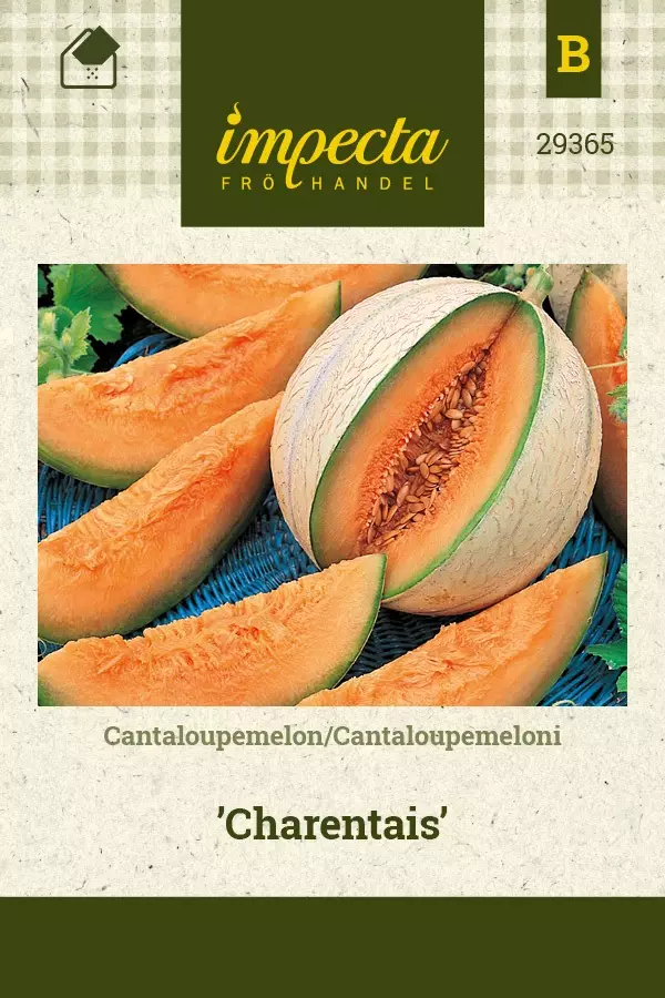 CANTALOUPEMELONI CHANRENTAIS - Muut vihannesten siemenet - 7332756293652 - 1