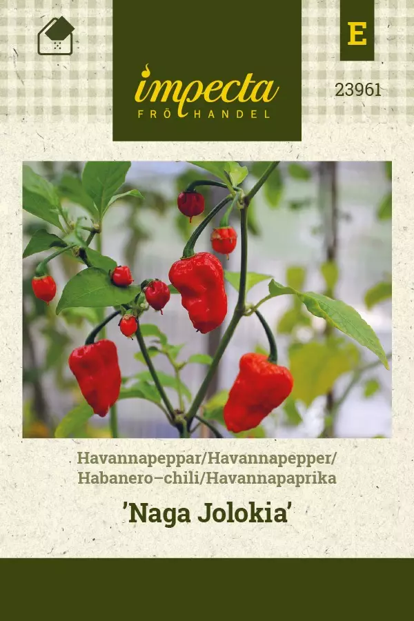 HAVANNAPAPRIKA NAGA JOLOKIA - Paprikan ja chilin siemenet - 7332756239612 - 1