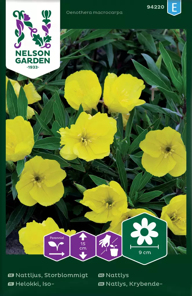 ISOHELOKKI - Perennojen siemenet - 7312600942202 - 2