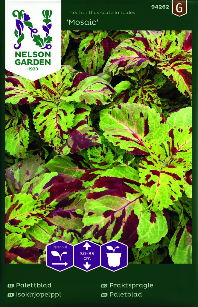 ISOKIRJOPEIPPI MOSAIC - Muut kesäkukkien siemenet - 7312600942622 - 1