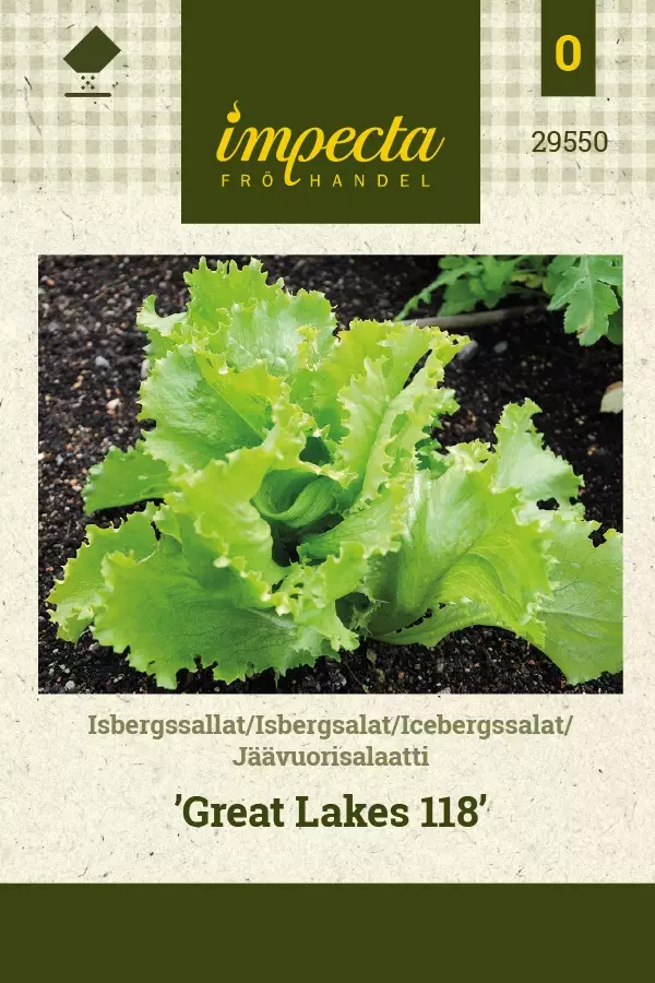 JÄÄVUORISALAATTI GREAT LAKES 118 - Salaatin siemenet - 7332756295502 - 1
