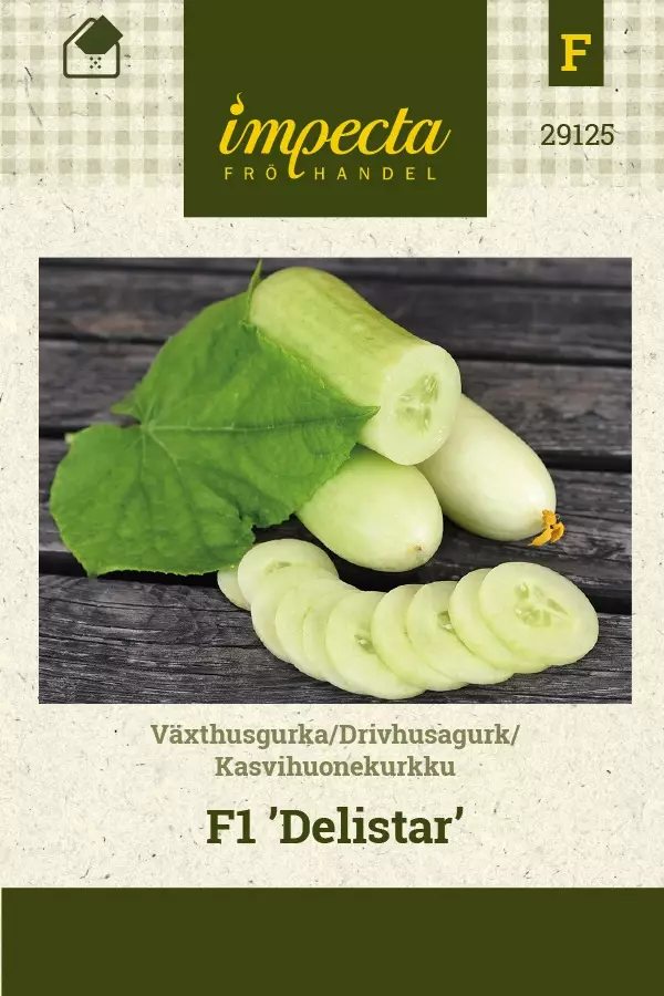 KASVIHUONEKURKKU DELISTAR - Kurkun siemenet - 7332756291252 - 1