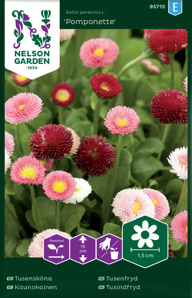 KAUNOKAINEN POMPONETTE - Perennojen siemenet - 7312600957152 - 2