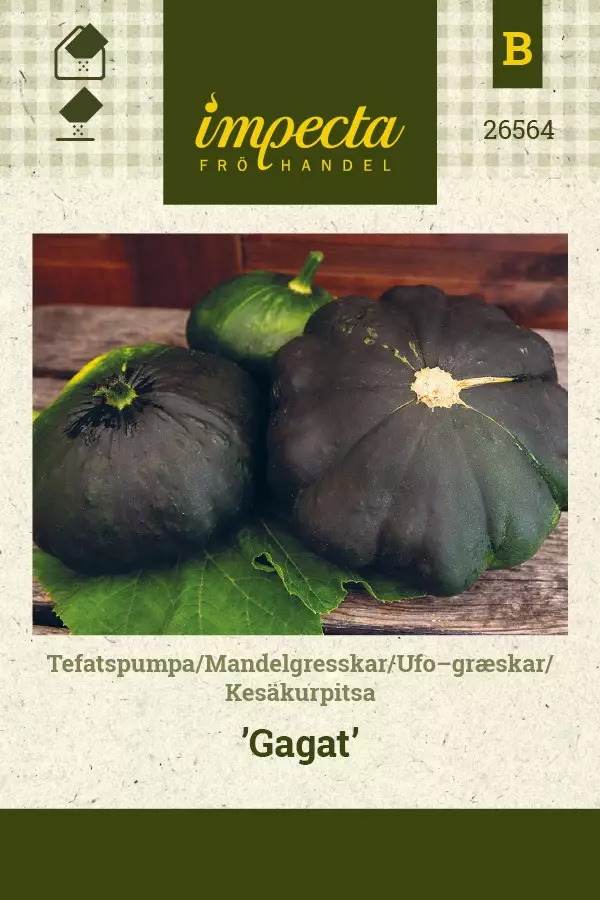 KESÄKURPITSA GAGAT - Kurpitsan siemenet - 7332756265642 - 1