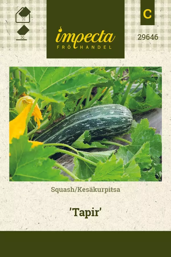 KESÄKURPITSA TAPIR - Kurpitsan siemenet - 7332756296462 - 1