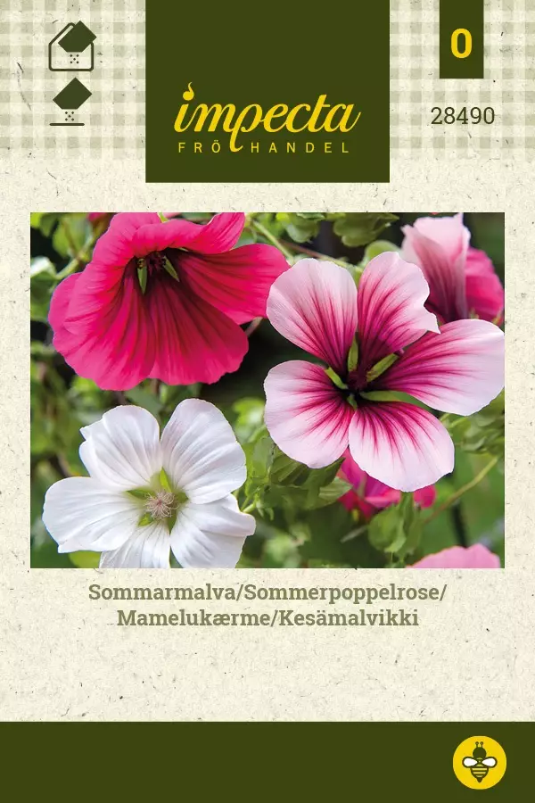 KESÄMALVIKKI - Muut kesäkukkien siemenet - 7332756284902 - 1
