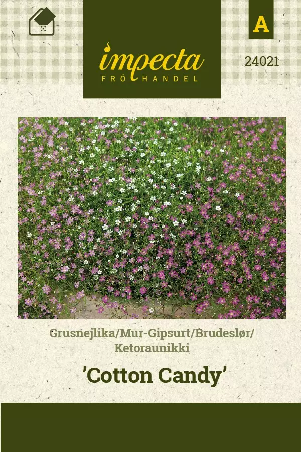 KETORAUNIKKI COTTON CANDY - Muut kesäkukkien siemenet - 7332756240212 - 1