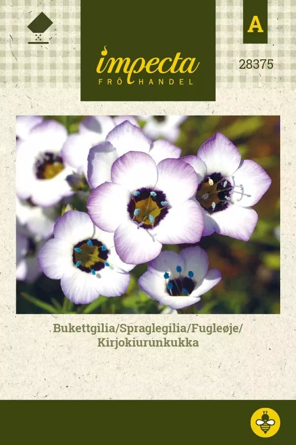 KIRJOKIURUNKUKKA - Muut kesäkukkien siemenet - 7332756283752 - 1