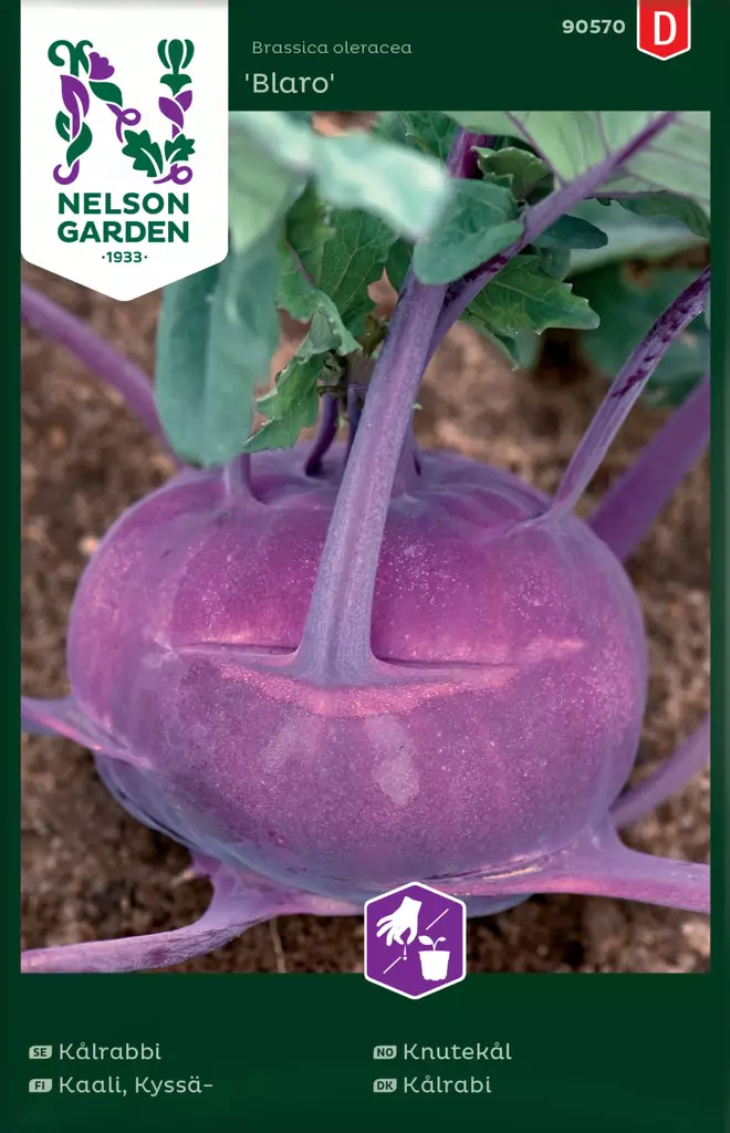 KYSSÄKAALI BLARO - Kaalin siemenet - 7312600905702 - 2