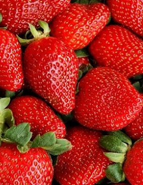 MANSIKKA JONSOK 10 KPL - Mansikantaimet - 2070210800002 - 1