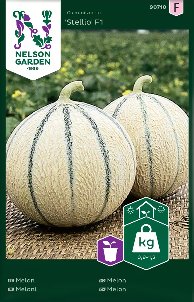 MELONI STELLIO F1 - Muut vihannesten siemenet - 7312600907102 - 2