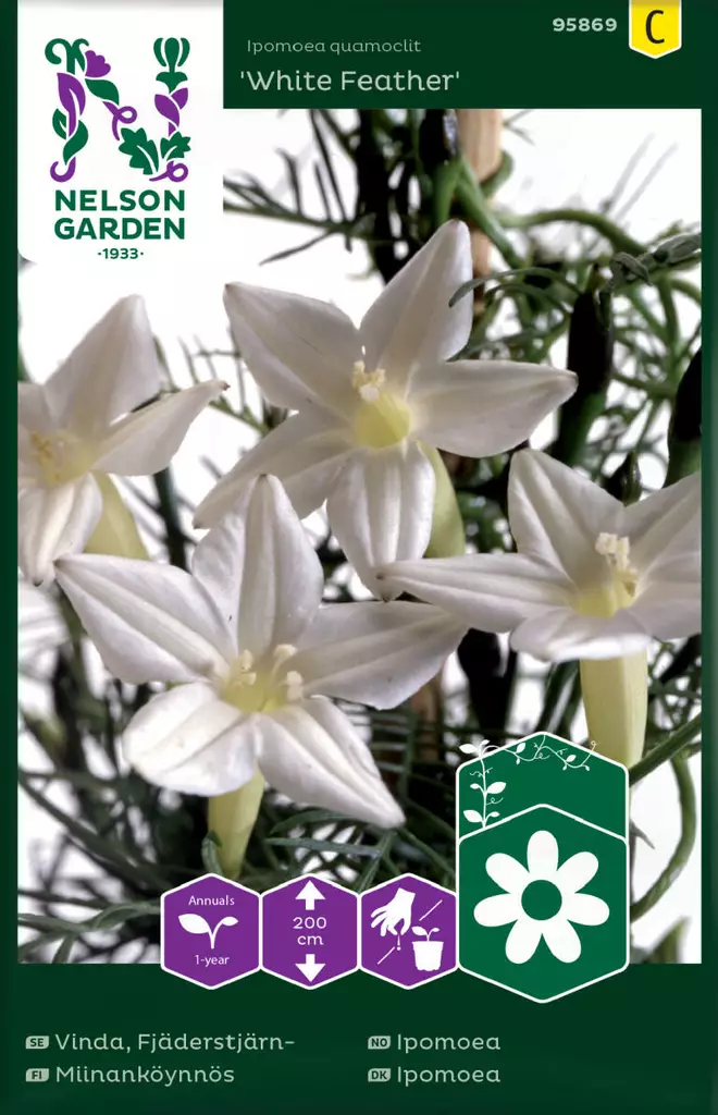 MIINANKÖYNNÖS WHITE FEATHER - Muut kesäkukkien siemenet - 7312600958692 - 2