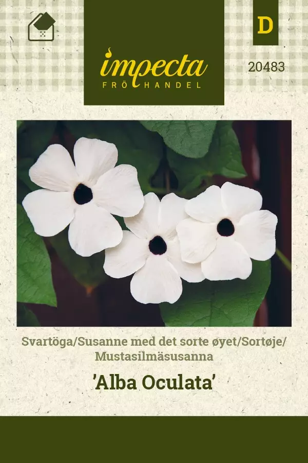 MUSTASILMÄSUSANNA ALBA OCULATA - Muut kesäkukkien siemenet - 7332756204832 - 1