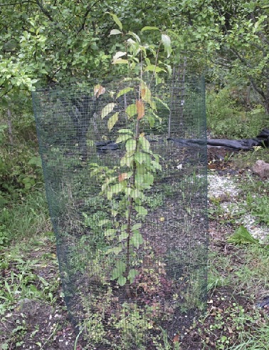 MYYRÄVERKKO 1,2 X 2,5 M VIHREÄ - Kankaat, harsot ja verkot - 6430040621042 - 1