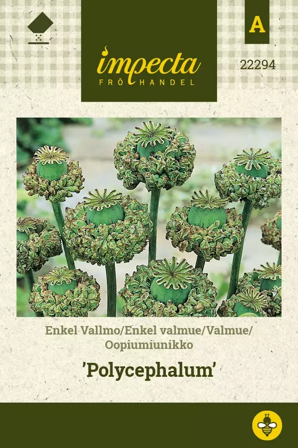 OOPIUMIUNIKKO POLYCEPHALUM - Muut kesäkukkien siemenet - 7332756222942 - 1