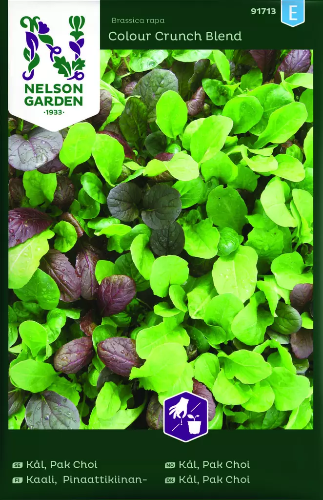 PINAATTIKIINANKAALI MIX - Kaalin siemenet - 7312600917132 - 1