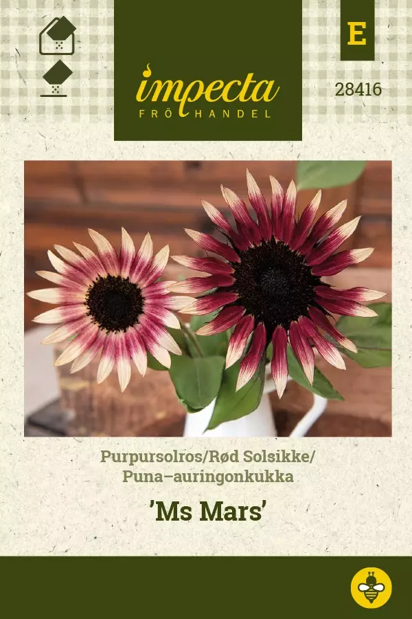 PUNA-AURINGONKUKKA MS MARS - Auringonkukan siemenet - 7332756284162 - 1