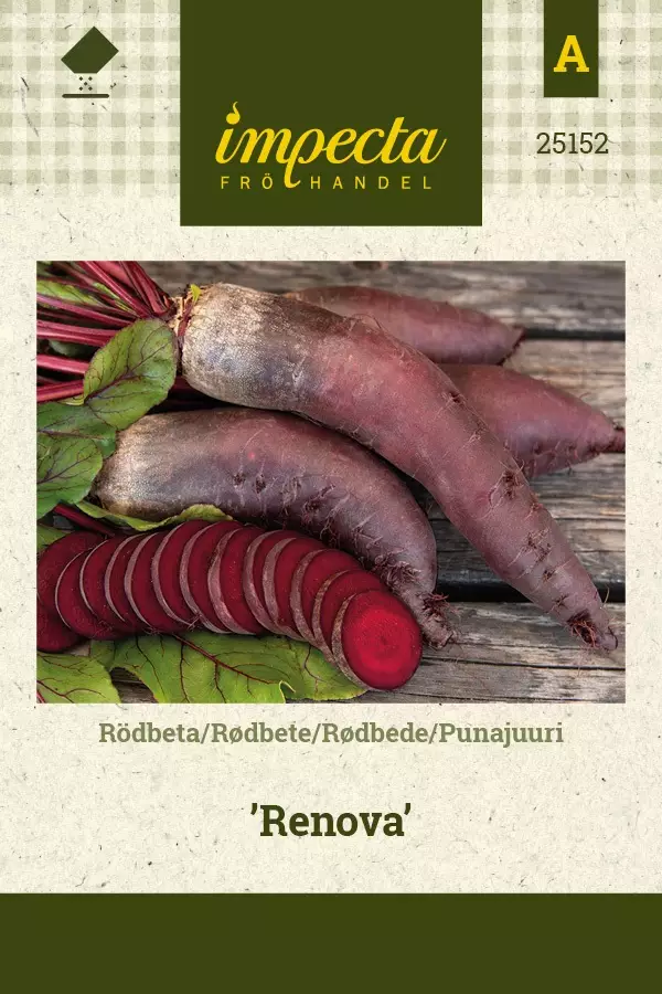 PUNAJUURI RENOVA - Punajuuren siemenet - 7332756251522 - 1