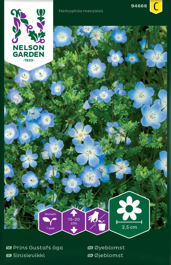 SINISIEVIKKI - Muut kesäkukkien siemenet - 7312600946682 - 2