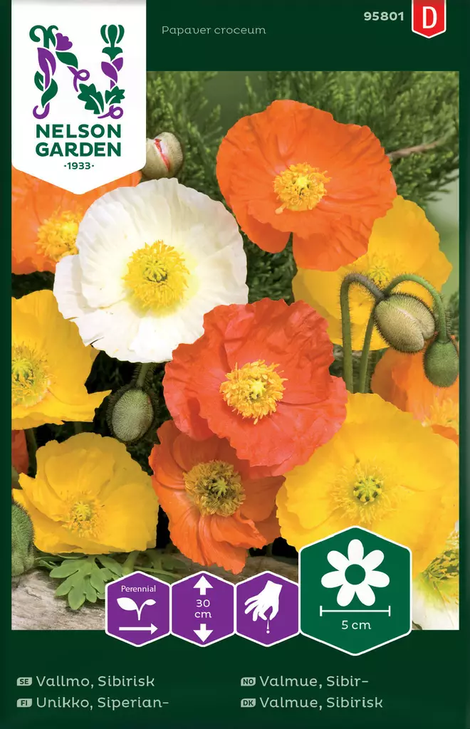 SIPERIANUNIKKO, SEOS - Perennojen siemenet - 7312600958012 - 2