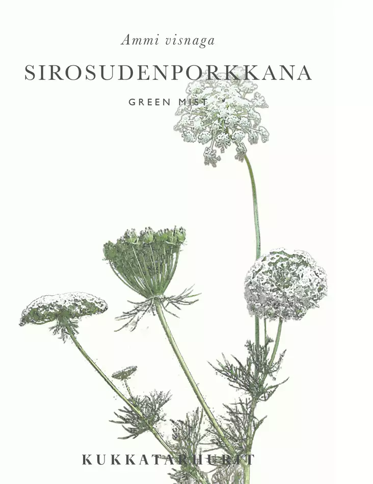 SIROSUDENPORKKANA GREEN MIST - Muut kesäkukkien siemenet - 6430081120962 - 1