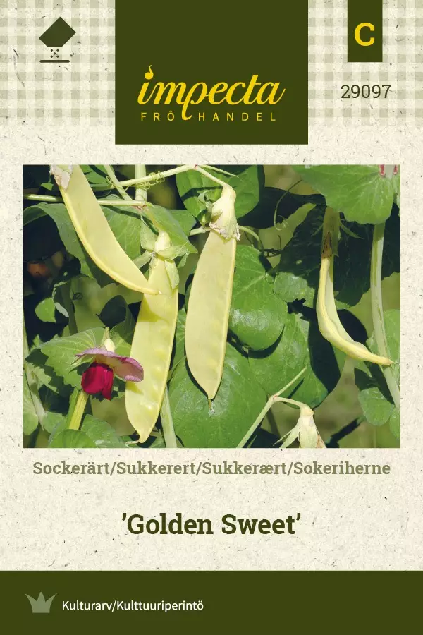 SOKERIHERNE GOLDEN SWEET - Herneen siemenet - 7332756290972 - 1