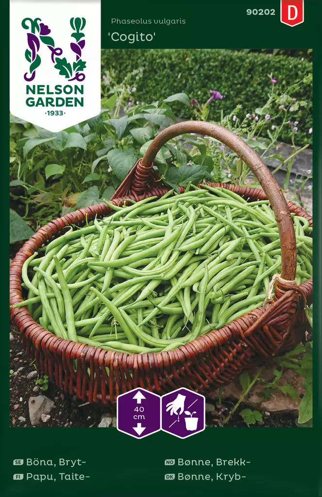 TAITEPAPU, COGITO - Pavun siemenet - 7312600902022 - 1