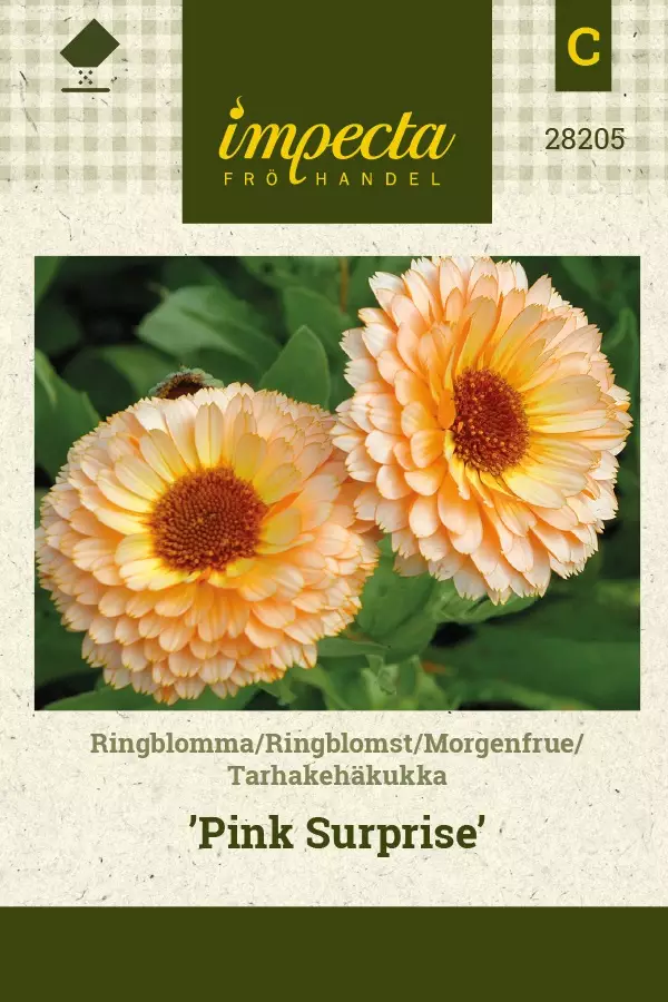 TARHAKEHÄKUKKA PINK SURPRISE - Kehäkukan siemenet - 7332756282052 - 1