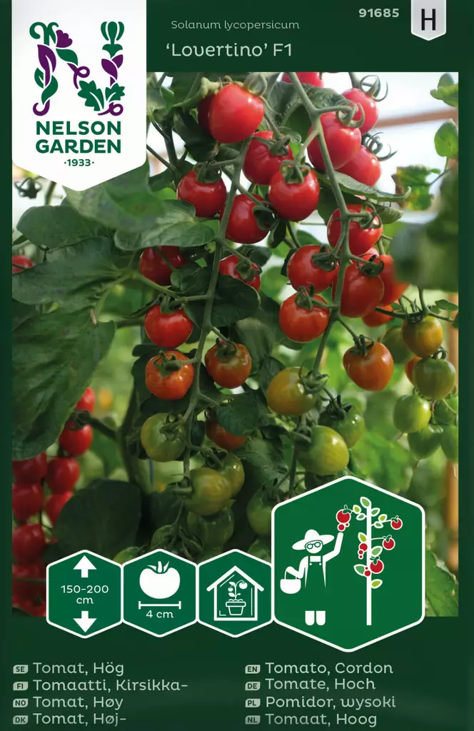 TOMAATTI LOVERTINO F1 - Tomaatin siemenet - 7312600916852 - 1