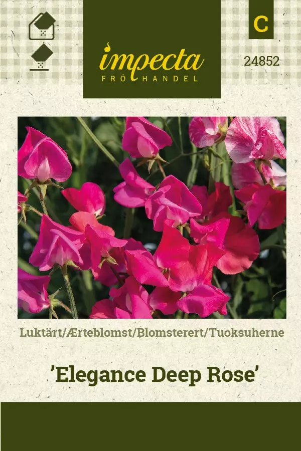 TUOKSUHERNE ELEGANCE DEEP ROSE - Muut kesäkukkien siemenet - 7332756248522 - 1