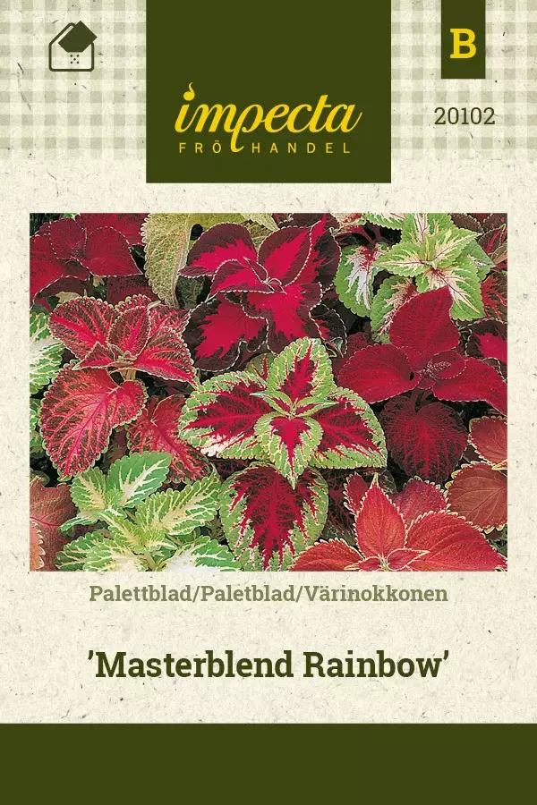 VÄRINOKKONEN MASTERBLEND RAINBOW - Muut kesäkukkien siemenet - 7332756201022 - 1