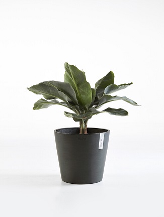 AMSTERDAM RUUKKU TUMMANHARMAA 40 CM - Muoviruukut - 5411942740643 - 1