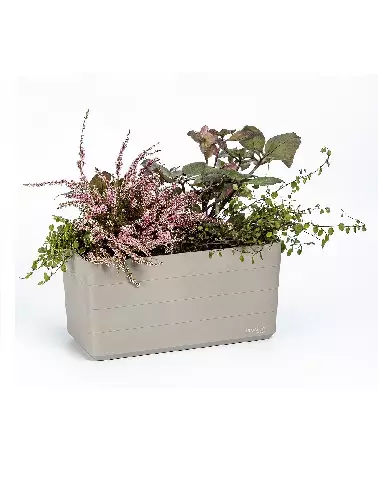 BERBERIS KASVATUSLAATIKKO 60 CM TAUPE - Ulkoruukut - 8590415011323 - 1