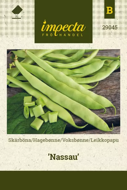 LEIKKOPAPU NASSAU - Pavun siemenet - 7332756290453 - 1