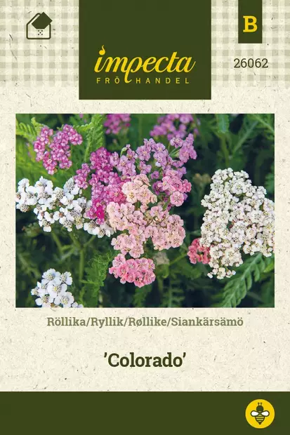 SIANKÄRSÄMÖ COLORADO - Muut kesäkukkien siemenet - 7332756260623 - 1