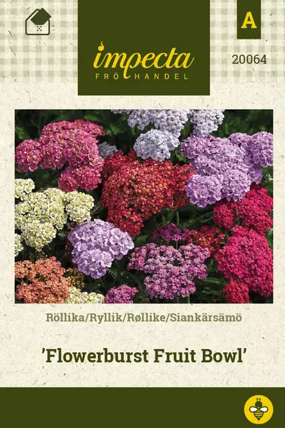 SIANKÄRSÄMÖ FLOWERBURST BOWL - Perennojen siemenet - 7332756200643 - 1