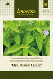 SITRUUNABASILIKA MRS.BURNS' LEMON - Basilikan siemenet - 7332756233733 - 1
