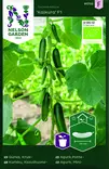 KASVIHUONEKURKKU KAIKURA F1, LUOMUSIEMEN - Kurkun siemenet - 7312600917323 - 1