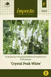 KELLOPEIPPI CHRYSTAL PEAK WHITE - Perennojen siemenet - 7332756289273 - 1
