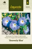 KIRJOPÄIVÄNSINI HEAVENLY BLUE - Muut kesäkukkien siemenet - 7332756202333 - 1