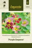 KÖYNNÖSKRASSI PURPLE EMPEROR - Krassin siemenet - 7332756288023 - 1