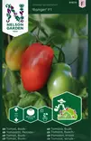 PENSASTOMAATTI RANGER F1 - Tomaatin siemenet - 7312600916753 - 1
