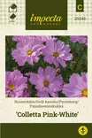PUNAKOSMOSKUKKA COLLETTA PINK-WHITE - Muut kesäkukkien siemenet - 7332756292433 - 1